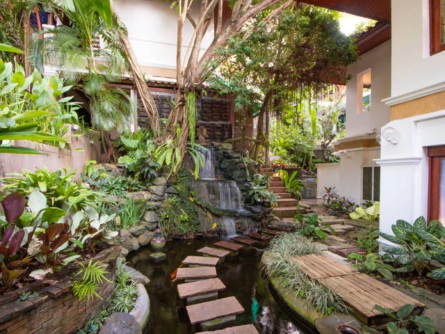 Waterfall & Pond